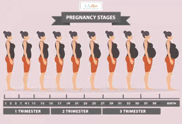 First Trimester (Weeks 1–12): Early Changes You Might Not Notice Greater London (Tower Hamlets)